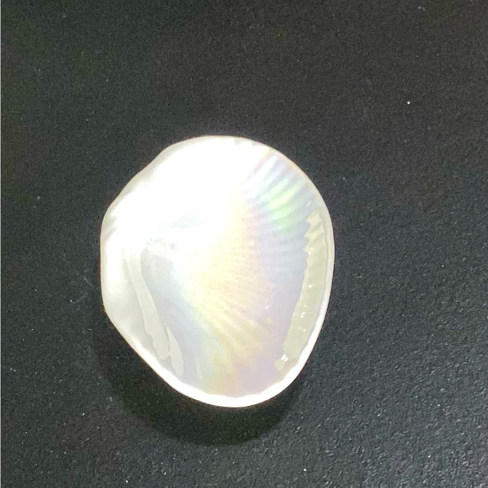 Vintage Wedge wood Nautilus Lustre clamshell dish. In new condition!! $100